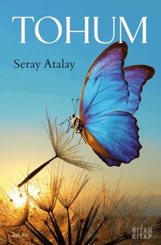 Tohum – Seray Atalay – Siyah Kitap kitap kapağı