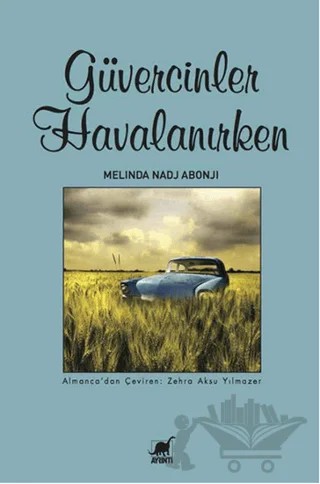Güvercinler Havalanırken – Melinda Nadj Abonji – Ayrıntı Yayınları kitap kapağı