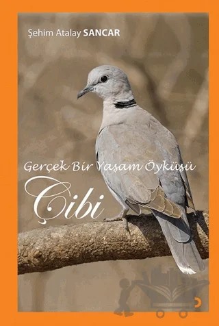 Gerçek Bir Yaşam Öyküsü Çibi – Şehim Atalay Sancar – Cinius Yayınları kitap kapağı