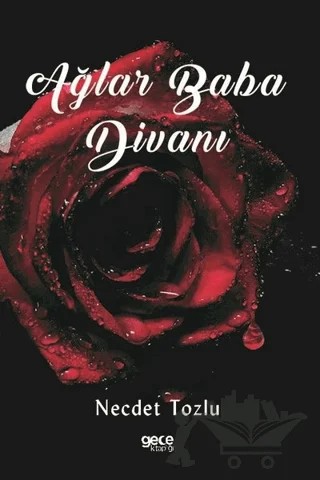 Ağlar Baba Divanı – Necdet Tozlu – Gece Kitaplığı kitap kapağı