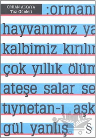 Tuz Günleri – Orhan Alkaya – Everest Yayınları kitap kapağı