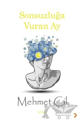 Sonsuzluğa Vuran Ay – Mehmet Çil – Cinius Yayınları kitap kapağı