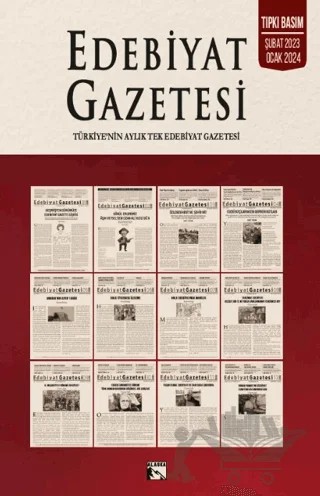 Edebiyat Gazetesi – Yücel Aydın – Alaska Yayınevi kitap kapağı