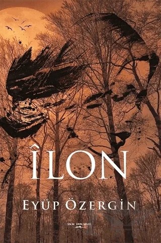 İlon – Eyüp Özergin – Sokak Kitapları Yayınları kitap kapağı