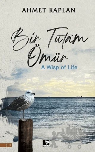 Bir Tutam Ömür – Ahmet Kaplan – Çınaraltı Yayınları kitap kapağı