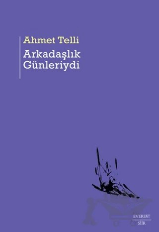 Arkadaşlık Günleriydi – Ahmet Telli – Everest Yayınları kitap kapağı