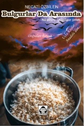 Bulgurlar da Arasında – Necati Özbilen – Alan Yayıncılık kitap kapağı