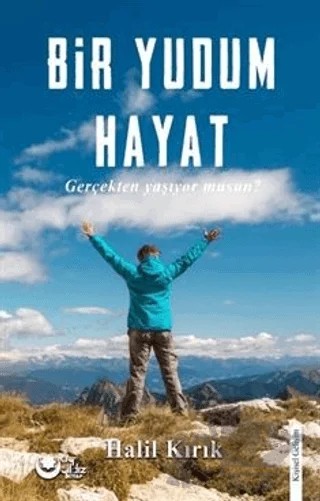 Bir Bir Yudum Hayat – Halil Kırık – Ayyıldız Kitap kitap kapağı