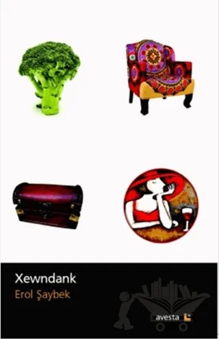 Xewndank – Erol Şaybek – Avesta Yayınları kitap kapağı