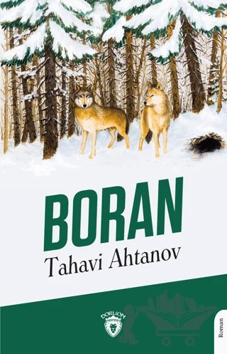 Boran – Tahavi Ahtanov – Dorlion Yayınları kitap kapağı