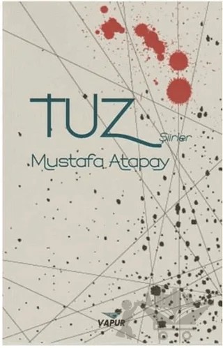 Tuz – Mustafa Atapay – Vapur Yayınları kitap kapağı