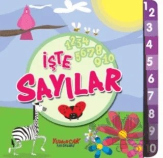 İşte Sayılar – Betül Aytaç – Yumurcak Yayınları kitap kapağı