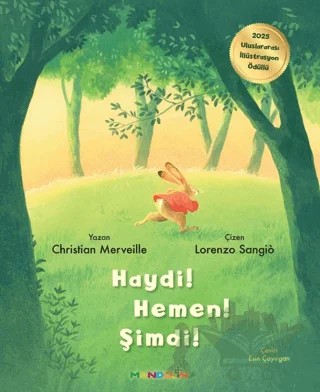 Haydi! Hemen! Şimdi! – Christian Merveille – Mandolin Yayınları kitap kapağı