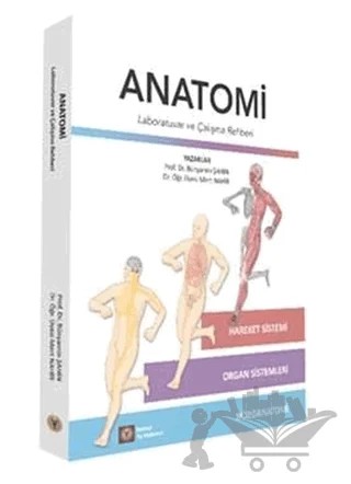 Anatomi – Bünyamin Şahin, Mert Nahir – İstanbul Tıp Kitabevi kitap kapağı
