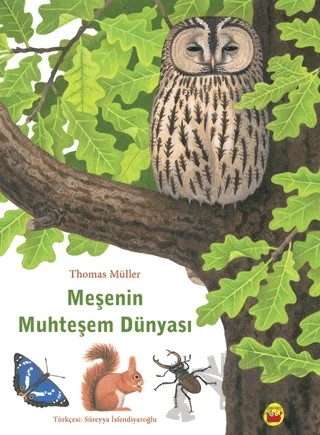 Meşenin Muhteşem Dünyası – Thomas Müller – Kuraldışı Yayınevi kitap kapağı