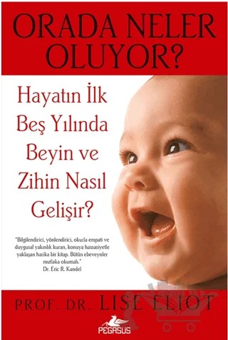 Orada Neler Oluyor – Lise Eliot – Pegasus Yayınları kitap kapağı