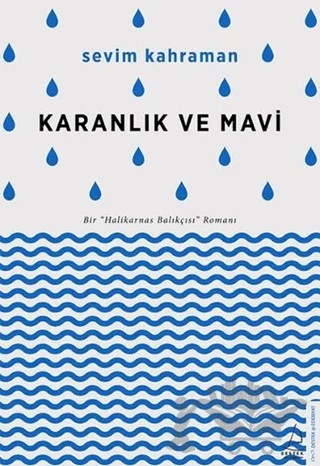 Karanlık ve Mavi – Sevim Kahraman – Destek Yayınları kitap kapağı