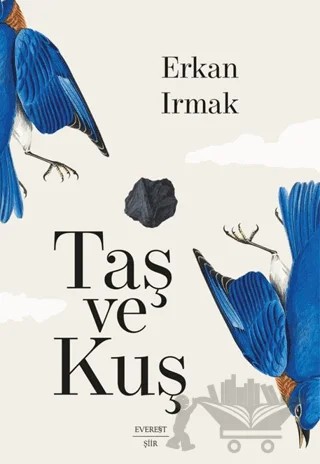 Taş ve Kuş – Erkan Irmak – Everest Yayınları kitap kapağı