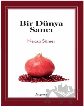 Bir Dünya Sancı – Necati Sümer – Bilgesina Yayınları kitap kapağı