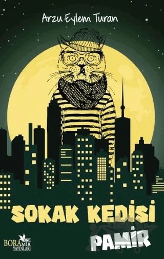 Sokak Kedisi Pamir – Arzu Eylem Turan – Boramir Yayınları kitap kapağı