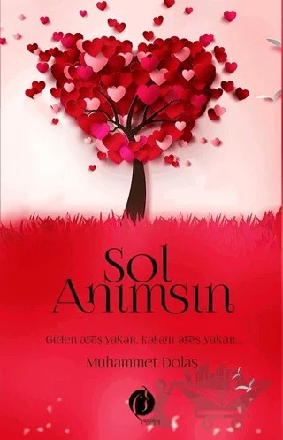 Sol Anımsın – Muhammet Dolaş – Herdem Kitap kitap kapağı