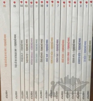 Nesillerin Öyküsü (16 Cilt Takım) – Emine Şenlikoğlu – Mektup Yayınları kitap kapağı