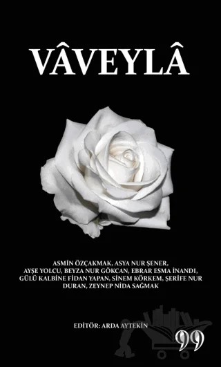 Vaveyla – Kolektif – Doksan Dokuz Yayınları kitap kapağı