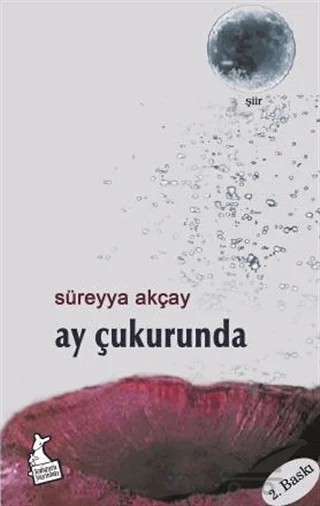 Ay Çukurunda – Süreyya Akçay – Kanguru Yayınları kitap kapağı