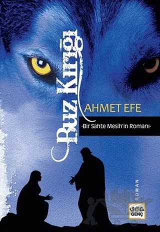 Buz Kırığı – Ahmet Efe – Nar Yayınları kitap kapağı