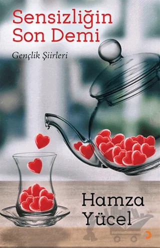 Sensizliğin Son Demi – Hamza Yücel – Cinius Yayınları kitap kapağı