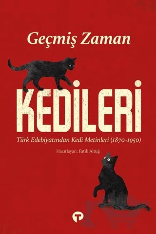 Geçmiş Zaman Kedileri – Fatih Altuğ – Turkuvaz Kitap kitap kapağı