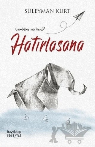 Hatırlasana – Süleyman Kurt – Hayykitap kitap kapağı