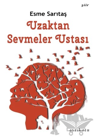 Uzaktan Sevmeler Ustası – Esme Sarıtaş – Ayrıkotu Yayınları kitap kapağı