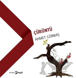 Çürüntü – Ahmet Günbaş – Hayal Yayınları kitap kapağı