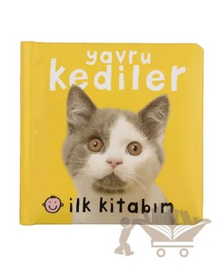 İlk Kitabım - Yavru Kediler – Kolektif – Doğan Egmont Yayıncılık kitap kapağı