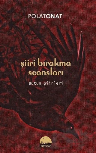 Şiiri Bırakma Seansları – Polat Onat – Kent Kitap kitap kapağı