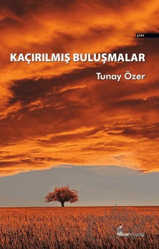 Kaçırılmış Buluşmalar – Tunay Özer – Okur Kitaplığı kitap kapağı