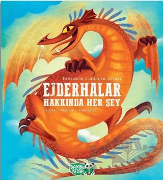 Ejderhalar Hakkında Her Şey – Federica Magrin – Bambu Kitap kitap kapağı
