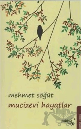 Mucizevi Hayatlar – Mehmet Söğüt – Sınırsız Kitap kitap kapağı