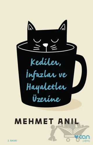 Kediler İnfazlar ve Hayaletler Üzerine – Mehmet Anıl – Can Yayınları kitap kapağı