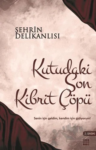 Kutudaki Son Kibrit Çöpü – Şehrin Delikanlısı – Dokuz Yayınları kitap kapağı