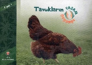 Tavukların Yaşam Döngüsü – David M. Schwartz – TÜBİTAK Yayınları kitap kapağı