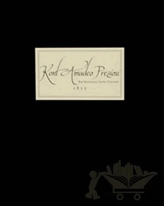 Kont Amadeo Preziosi Bir Ressamın Seyir Defteri – Terry Sonman – Yapı Kredi Yayınları kitap kapağı