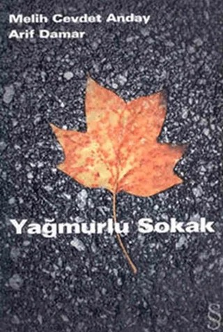 Yağmurlu Sokak – Melih Cevdet Anday – Everest Yayınları kitap kapağı