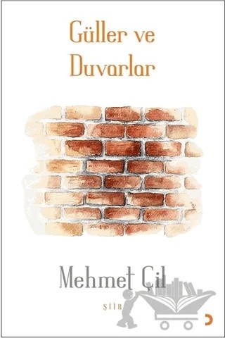 Güller ve Duvarlar – Mehmet Çil – Cinius Yayınları kitap kapağı