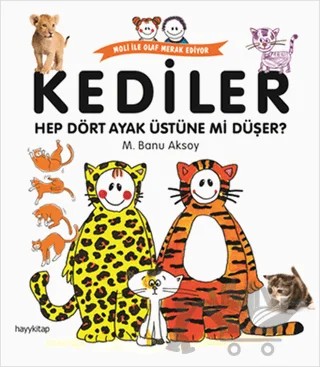 Kediler - Hep Dört Ayak Üstüne mi Düşer? – M. Banu Aksoy – Hayykitap kitap kapağı