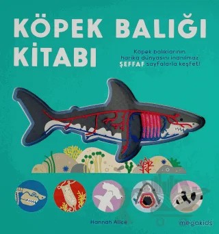 Köpek Balığı Kitabı – Hannah Alice – Megakids Yayıncılık kitap kapağı