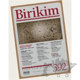 Edebiyat Kültür Dergisi Sayı: 392 – Birikim Yayınları kitap kapağı