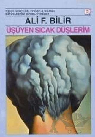 Üşüyen Sıcak Düşlerim – Ali F. Bilir – E Yayınları kitap kapağı