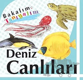 Bakalım Tanıyalım: Deniz Canlıları – Kolektif – Final Kültür Sanat Yayınları kitap kapağı